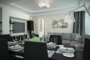 гостиная и кухня