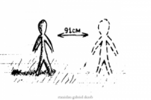 Иллюстрация к стиху "91 см"