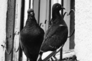 Фото природы