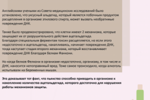 Банер/листовка