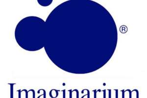 Контекстная реклама для магазина Imaginarium