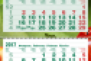 Работа 3005773