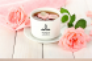 разработка логотипа