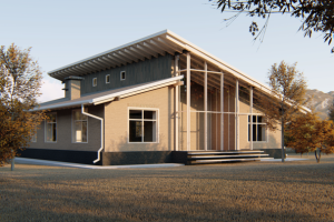 архитектурный проект. ИЖД