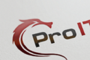 Pro IT Group