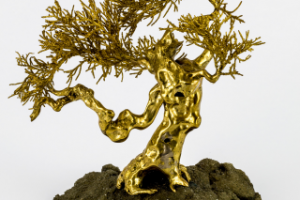 автор Владимир Копытов