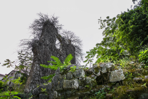 ...а стеночка осталась...