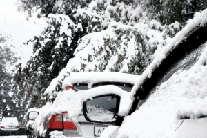 Новосибирск АВГУСТ