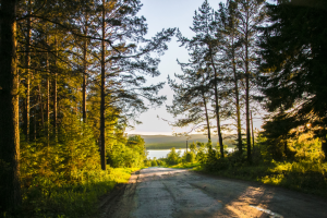 Работа 3562180