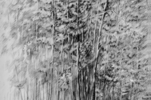 репродукционная съёмка автор СЕРГЕЙ КОПЫРКИН