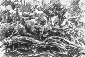 репродукционная съёмка автор СЕРГЕЙ КОПЫРКИН