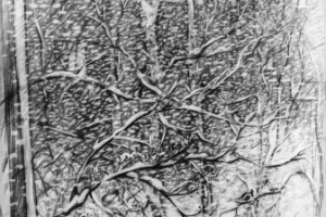 репродукционная съёмка автор СЕРГЕЙ КОПЫРКИН