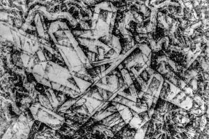 репродукционная съёмка