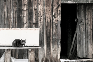 Вне жанра "welcome to my nightmare"