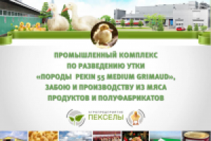 Презентация птицефабрики