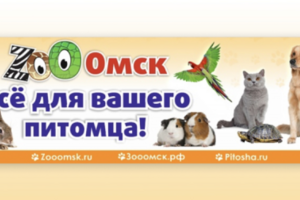 Оформление группы в вк