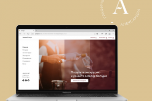 Концепция главного экрана сайта винного парка