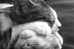 Производство блоков для жилых домов.