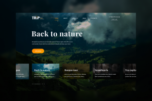 Сайт о путешествиях