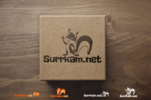 Работа 2693348