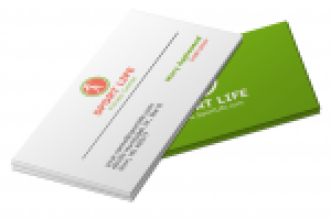 Работа 2167838