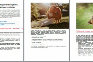 Работа 3479425