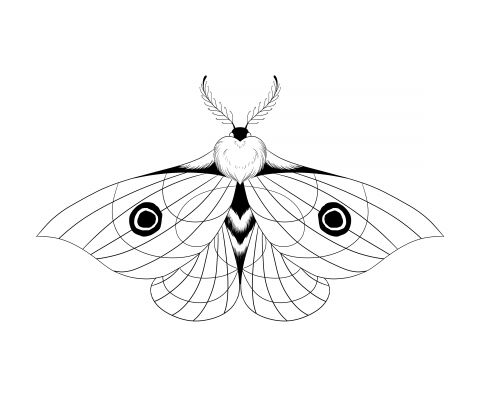 img3934715.png