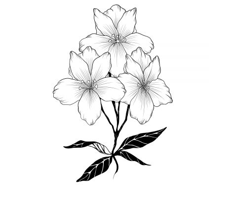 img3934712.png