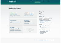 Дизайн сайта для компании Nginx