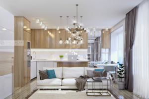 Гостиная с кухней