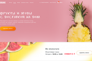 дизайн доставка фруктов и ягод