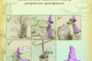 Сертификат Ingame