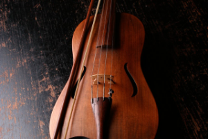 Carnatic (скрипка)