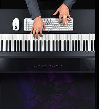 img3933200.png