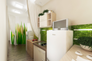 кухня в студии "Галька и Галыш" в г .Санкт-Петербурге