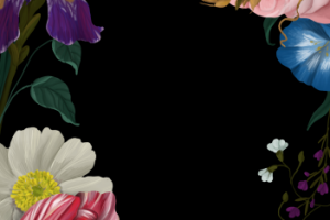 Работа 3512755