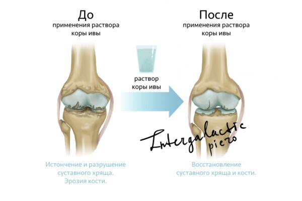 img3512749.png