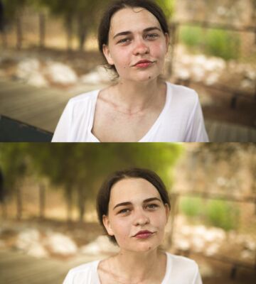img3166720.png