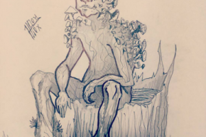 мистер гриб