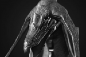 Работа 1447879