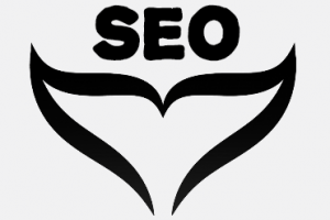 SEO