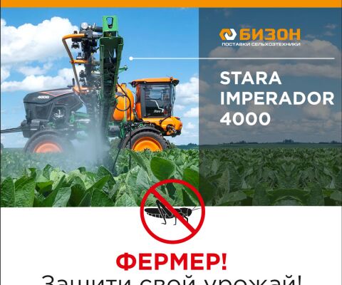 img3876924.png