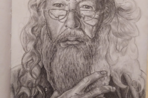 Альбус Персиваль Вульфрик Брайн Дамблдор