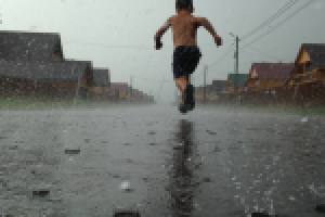 Работа 2771272