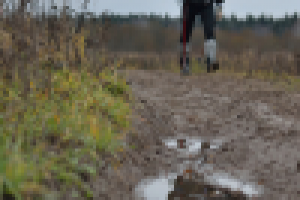 Работа 2771393