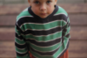 Работа 2771433