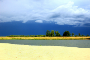 Работа 2771456