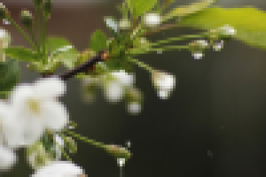 Работа 2771407