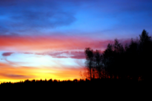 Работа 2771400