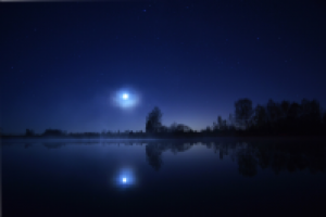 Работа 2771399